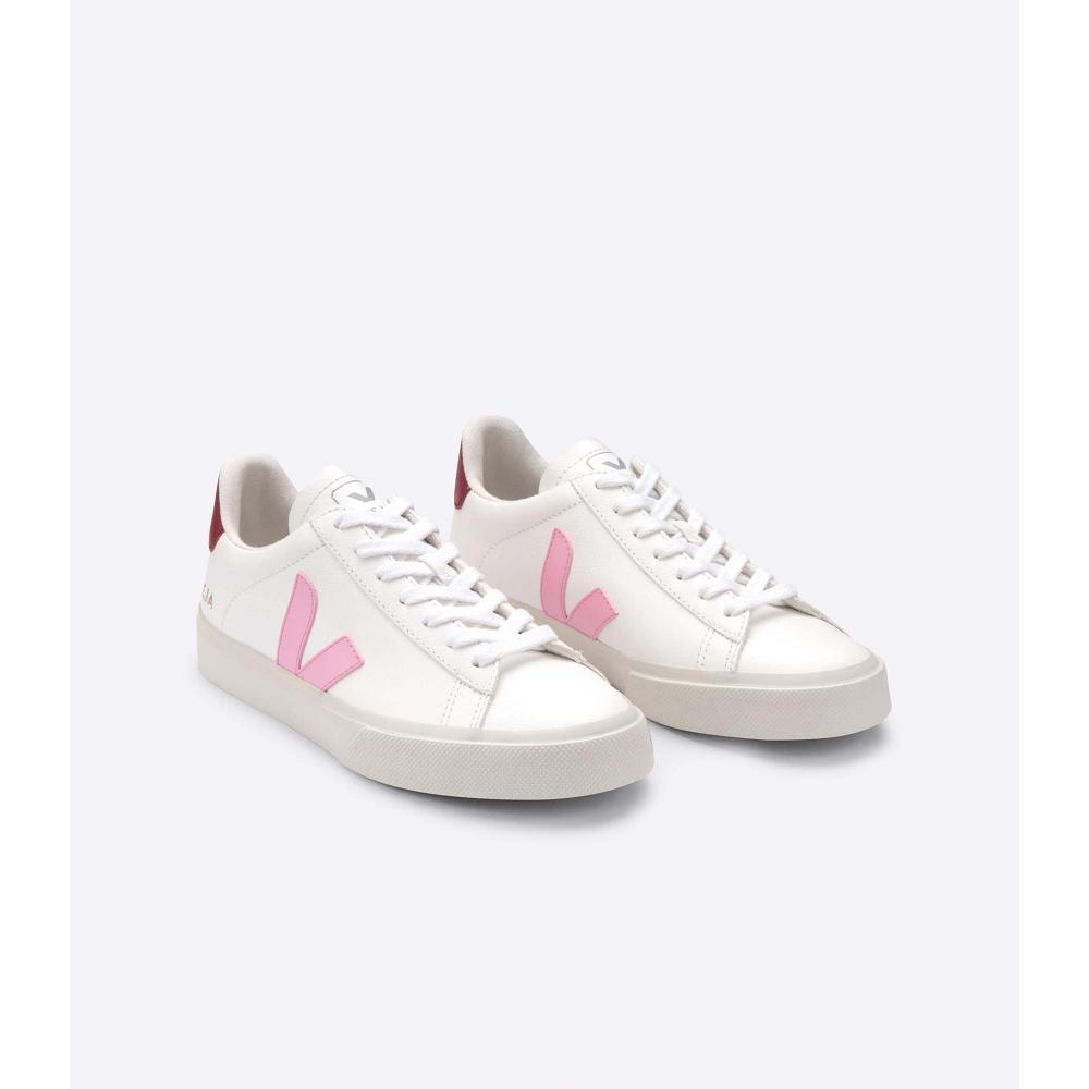 White/Pink Women's Veja CAMPO CHROMEFREE Low Tops Sneakers | AU 591ZUT